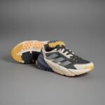 adidas ADISTAR C.RDY