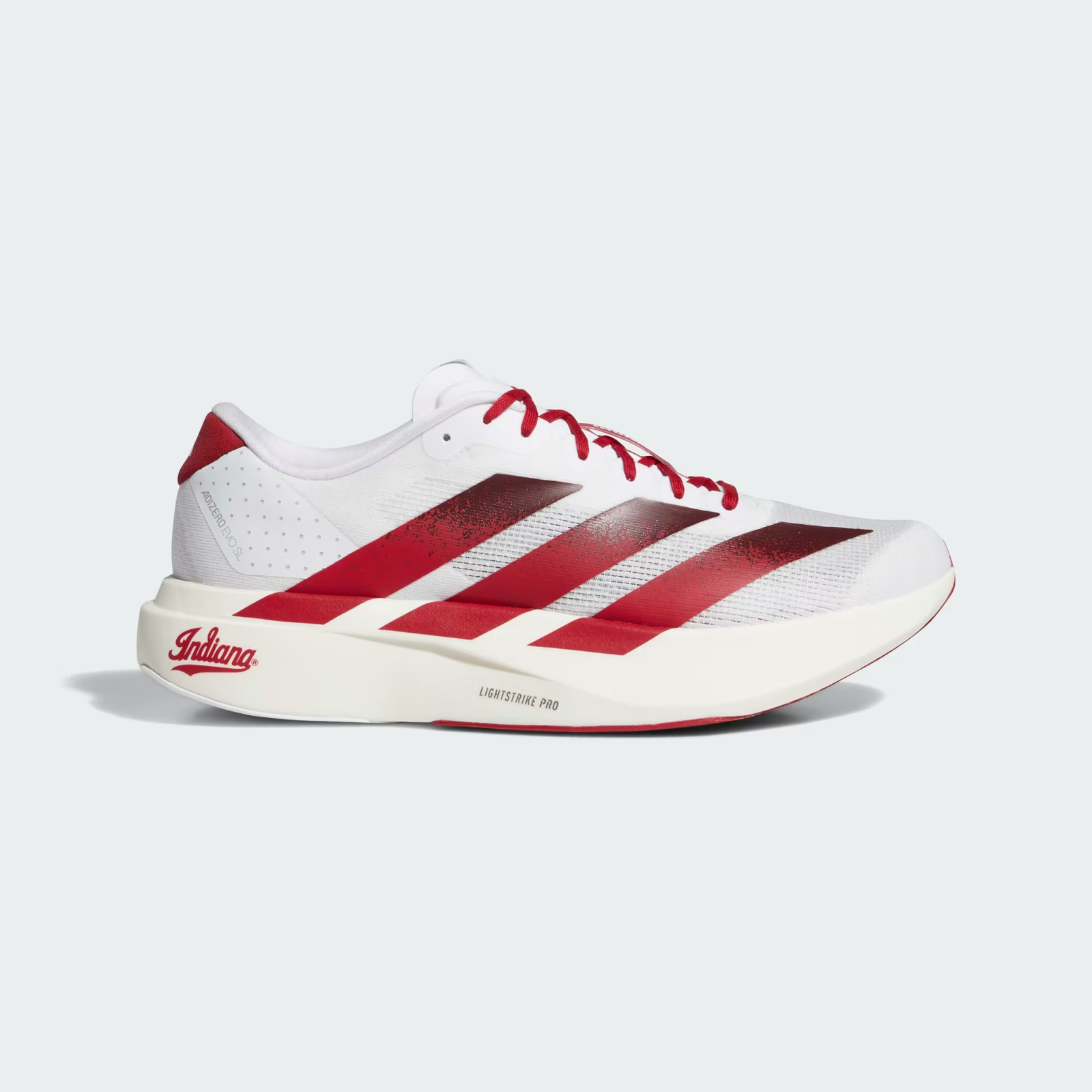 IMG_1661 Adidas Adizero Evo SL - الصورة 1